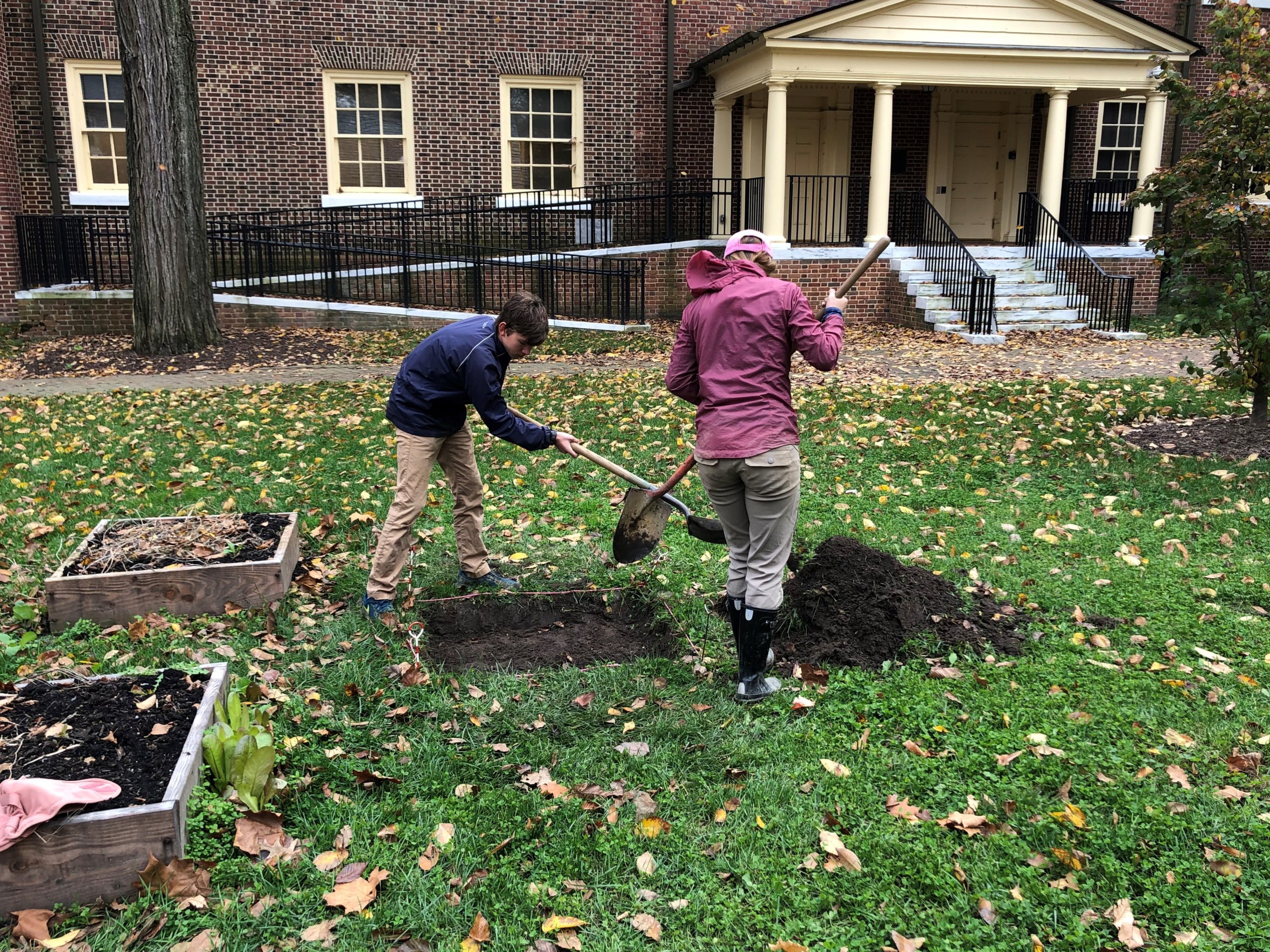 Volunteer archaeologists dig square test plots in grass of John Bell House in Dover, DE.