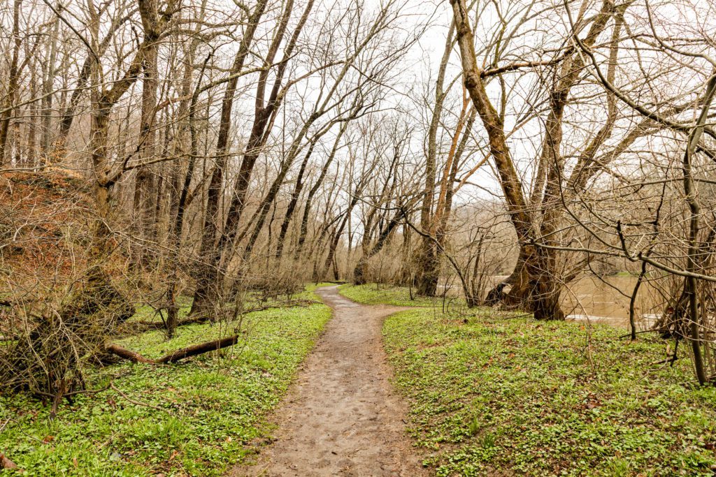 Hidden Pond Trail a Brandywine Creek State Park