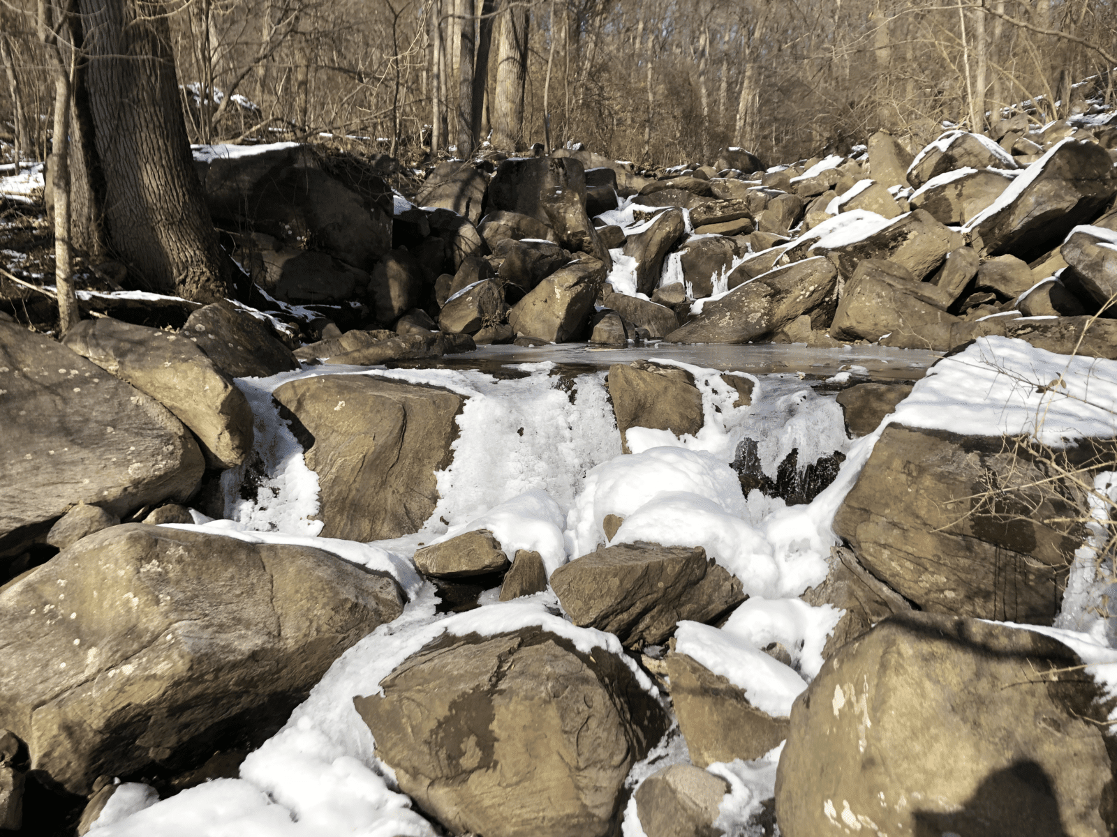 Ice forms on rocks of Alapocas Run