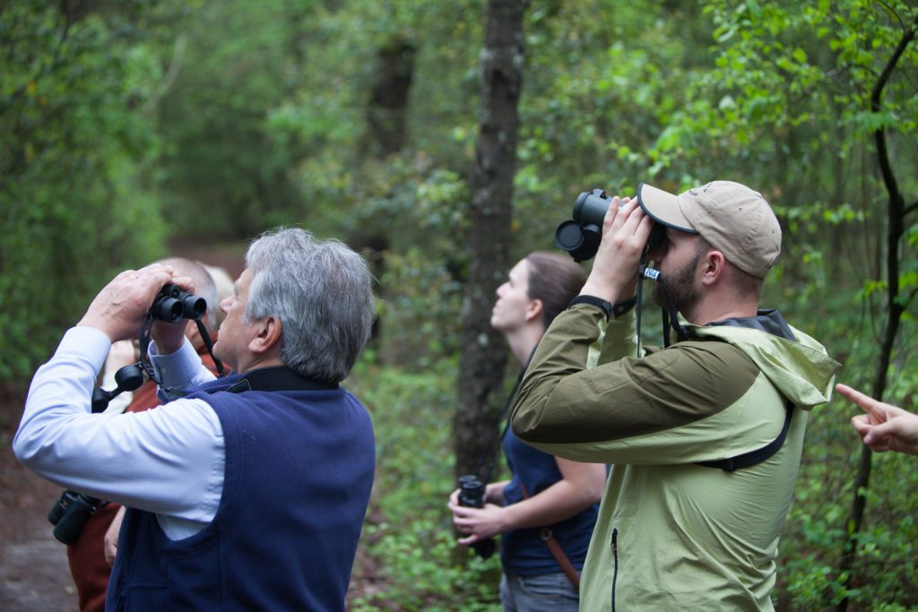 Individuals engaging in birding.
