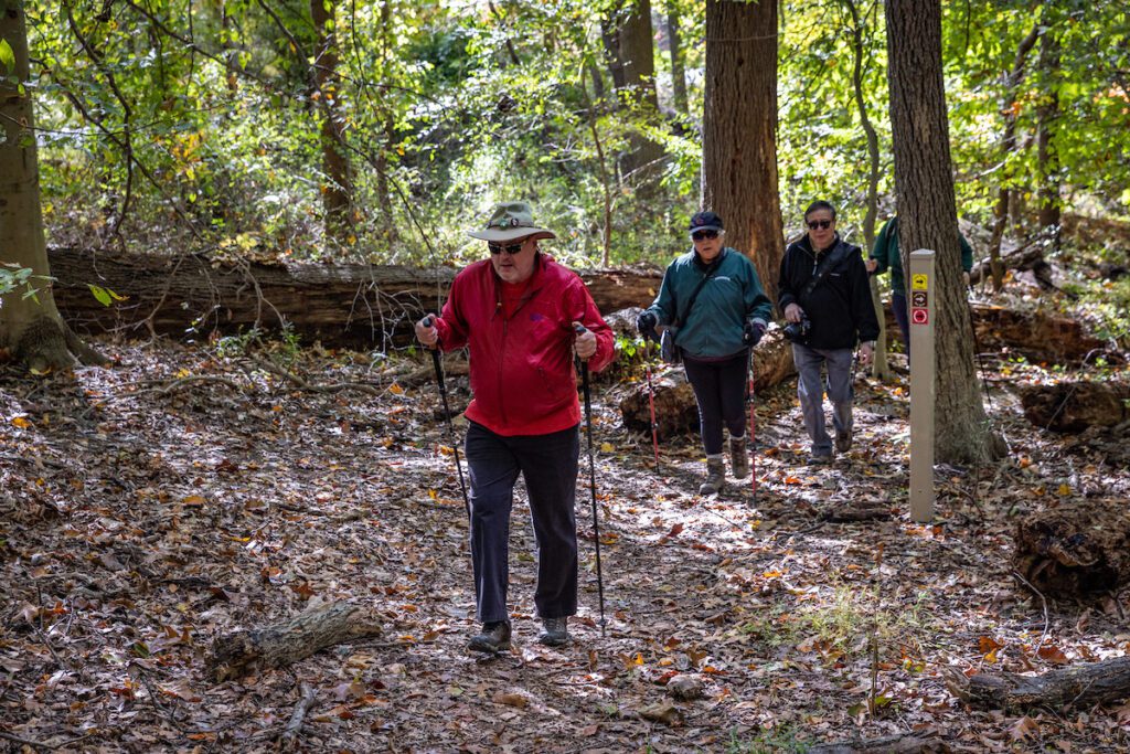 Four people with walking poles hike on a leaf-covered trail deep in the woods. In the foreground, a man leads the group. In the background other members of the party pass through trees and trail markers. Foliage is sparse in this winter scene.