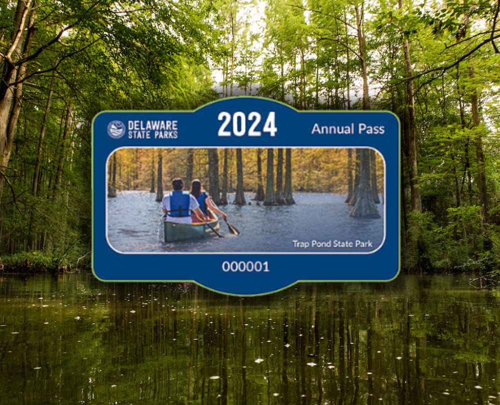 Close up of a 2024 Delaware State Parks Annual Pass featuring a canoe paddling through the waters of Trap Pond State Park with Bald Cypress trees growing out of the water.