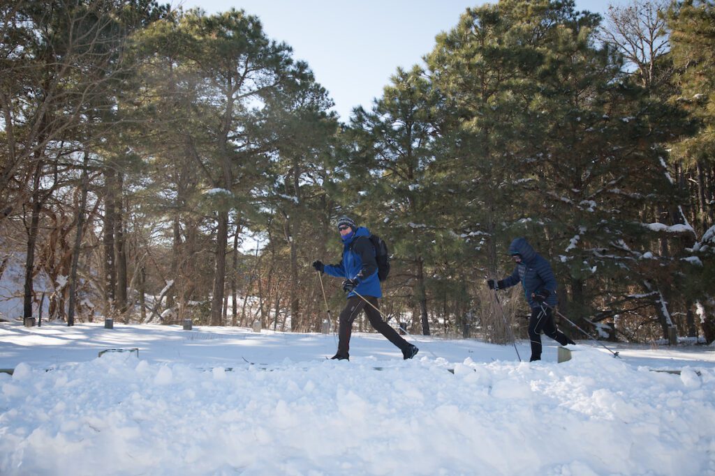 Two people cross-country skiing through a snowy forest.